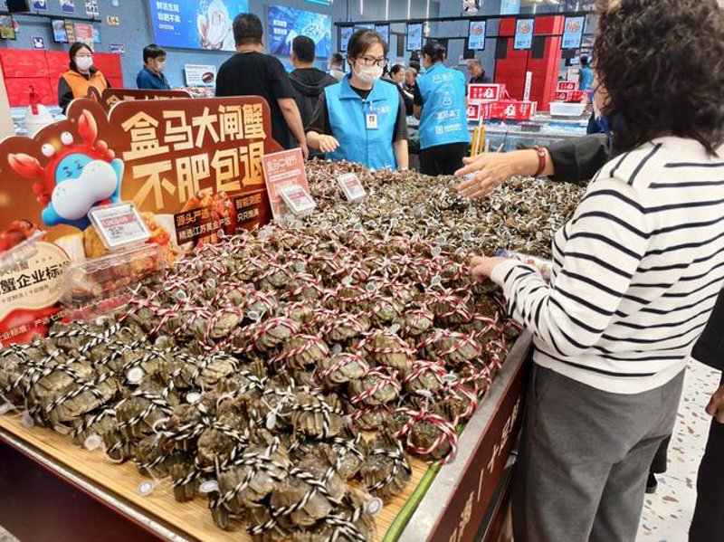 国内贸易在时代的光影中闪耀